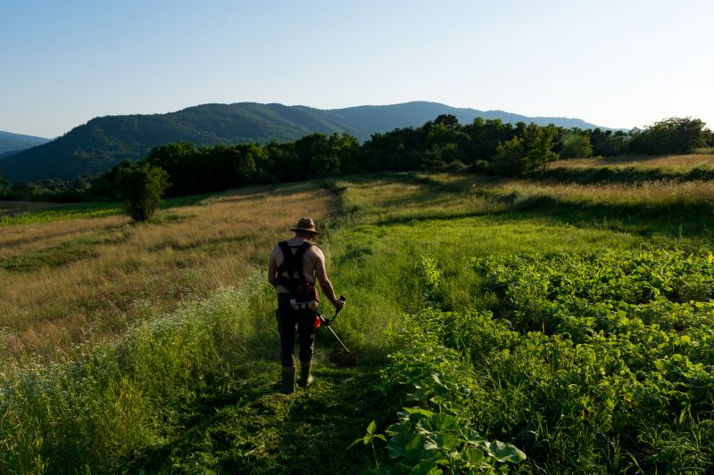 Pasture Vegetation Control Service