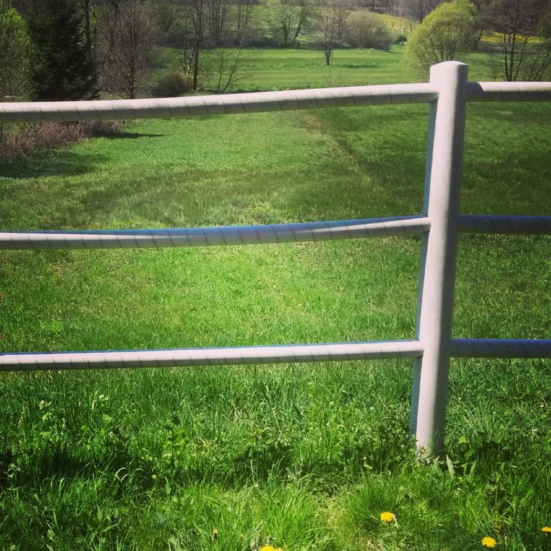 Pasture Vegetation Control