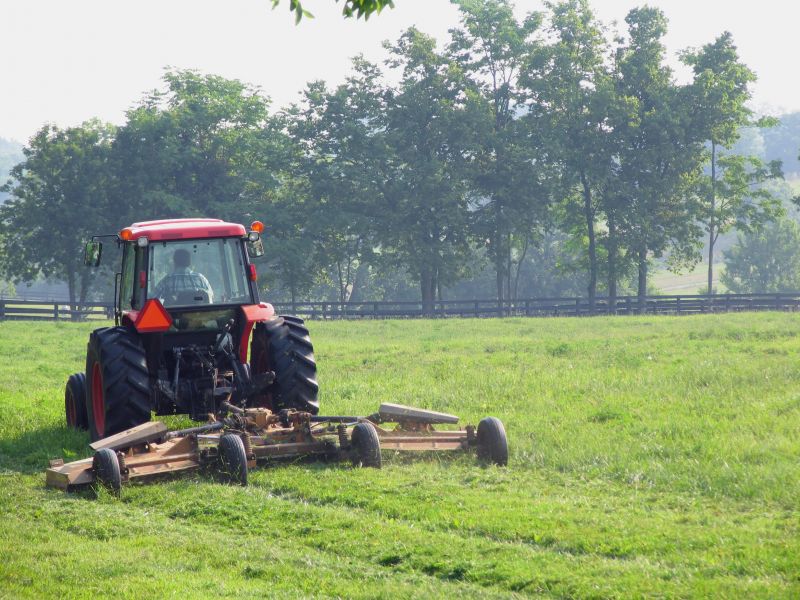 Pasture Vegetation Control