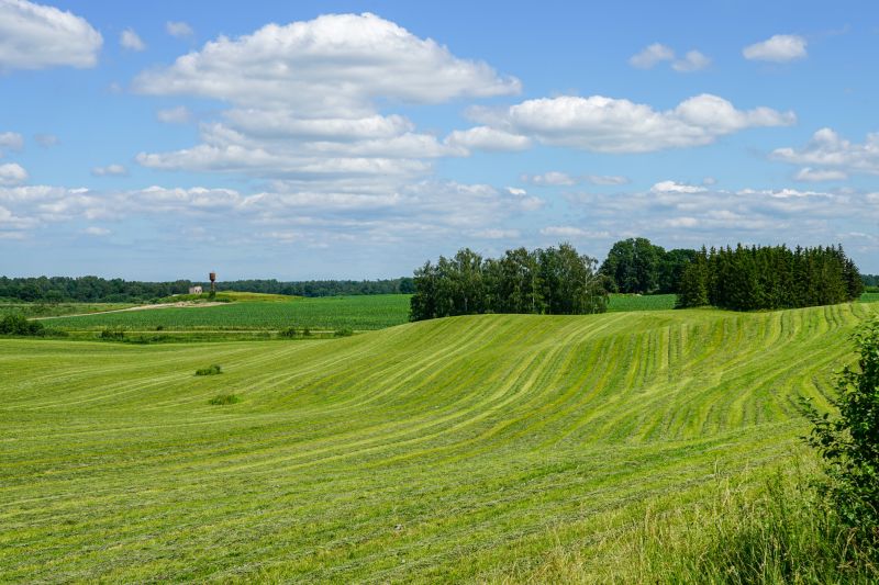 Pasture Vegetation Management